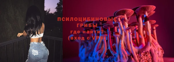 соль ск Верея