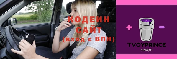 дживик Бронницы