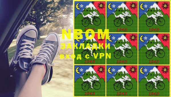 эйфоретик Бородино