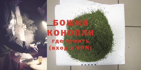 эйфоретик Бородино