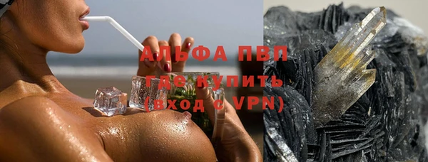 эйфоретик Бородино