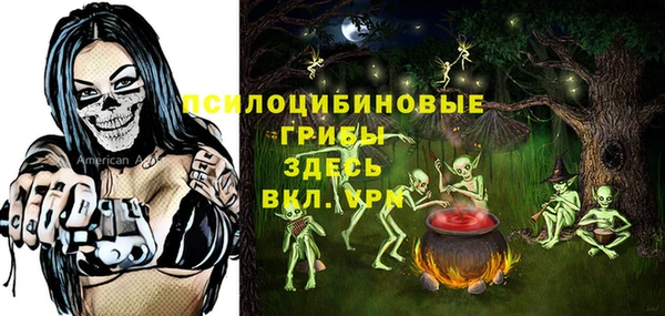 дживик Бронницы