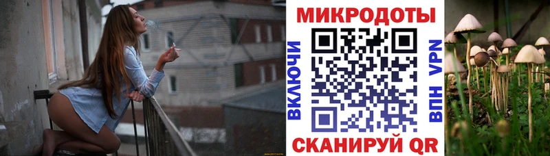 Купить  Новоалександровск  Псилоцибиновые грибы Psilocybine cubensis 